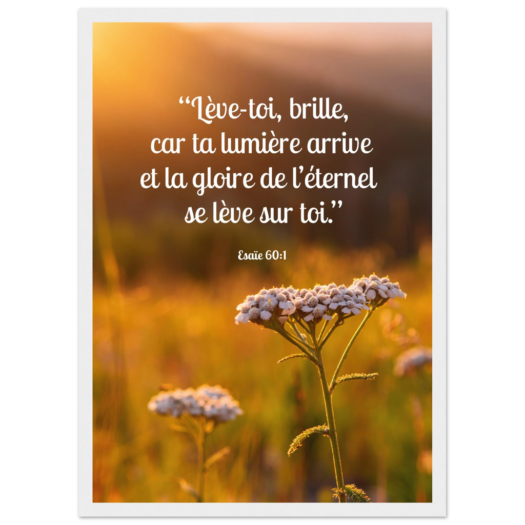1a2e3a82-7b68-4e00-8a5b-15d454dcce52