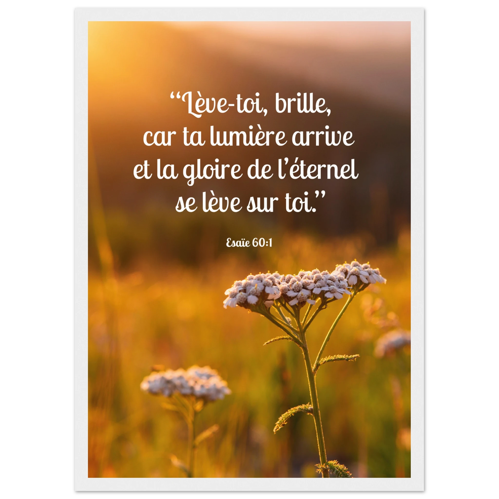 1a2e3a82-7b68-4e00-8a5b-15d454dcce52