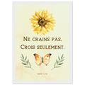 1aab184c-85ce-4bff-933d-6424f21fb08e