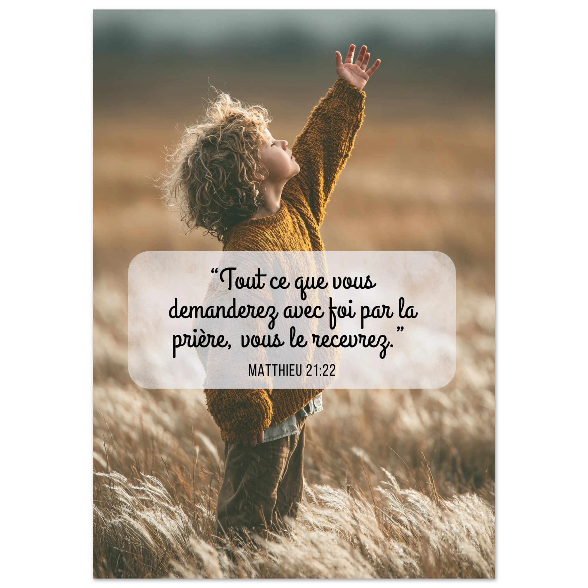 2e6cb637-0ad9-4bf4-8dee-c7354e777a9a