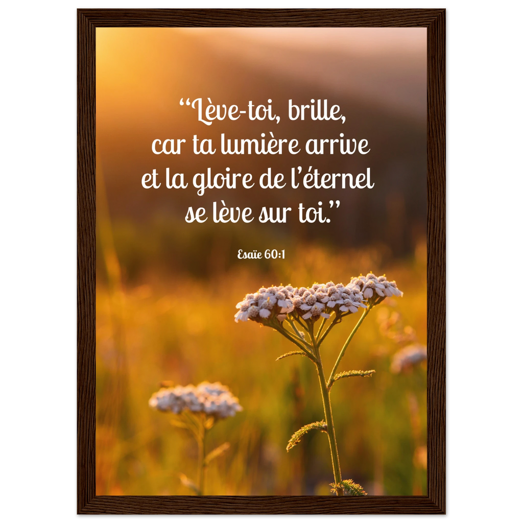 2ffeaccc-adf8-4904-b6ce-f7876efe2162