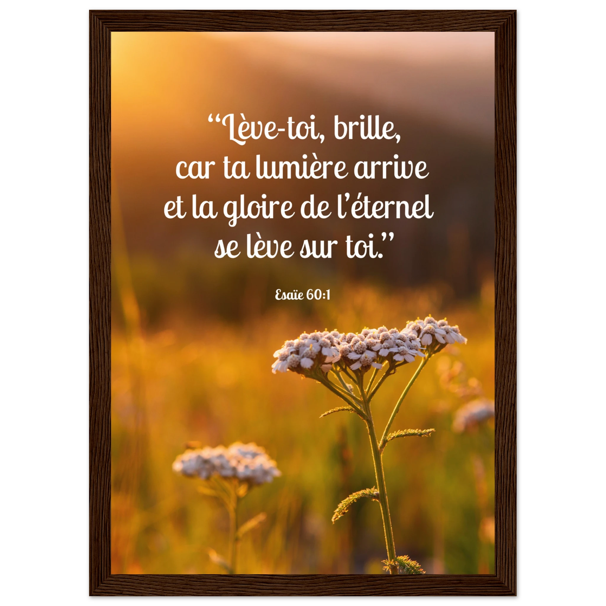 2ffeaccc-adf8-4904-b6ce-f7876efe2162