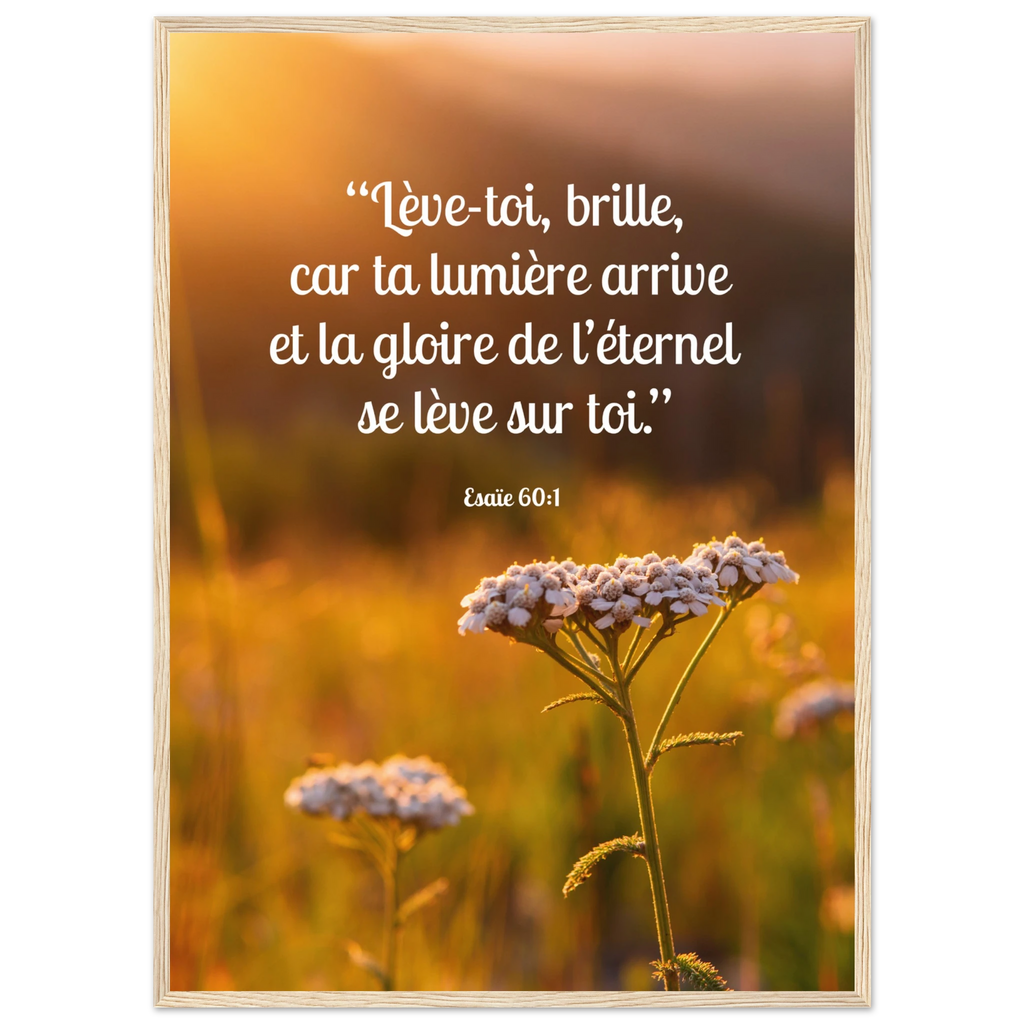 4565a1d7-ae08-4d15-a197-2ab7b9ac90ea