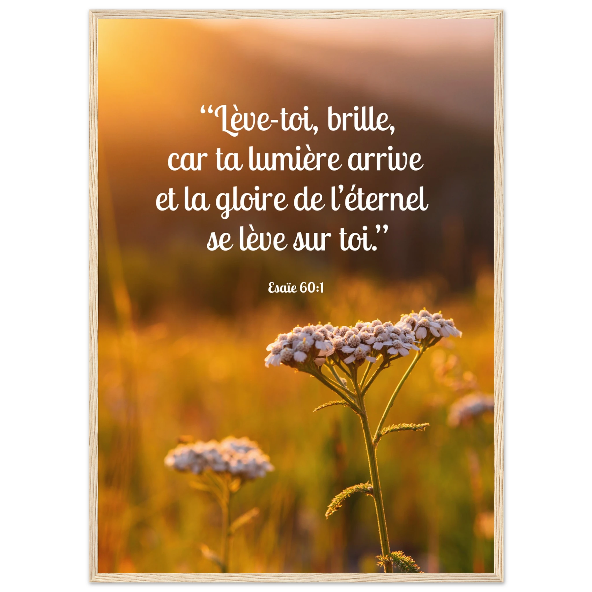 4565a1d7-ae08-4d15-a197-2ab7b9ac90ea