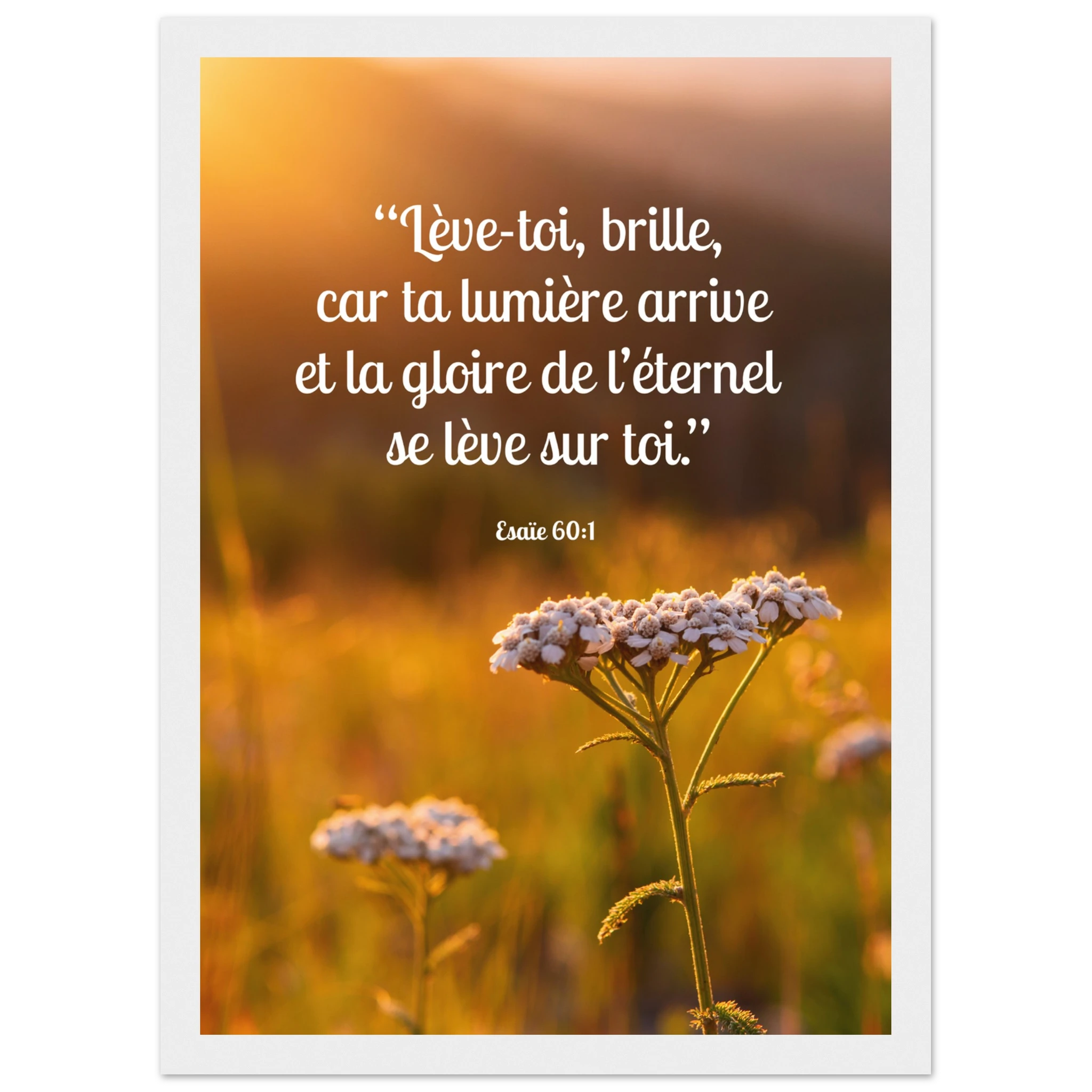 459c6c3d-2f5f-4ddc-a9b1-a7a1ce721a4e