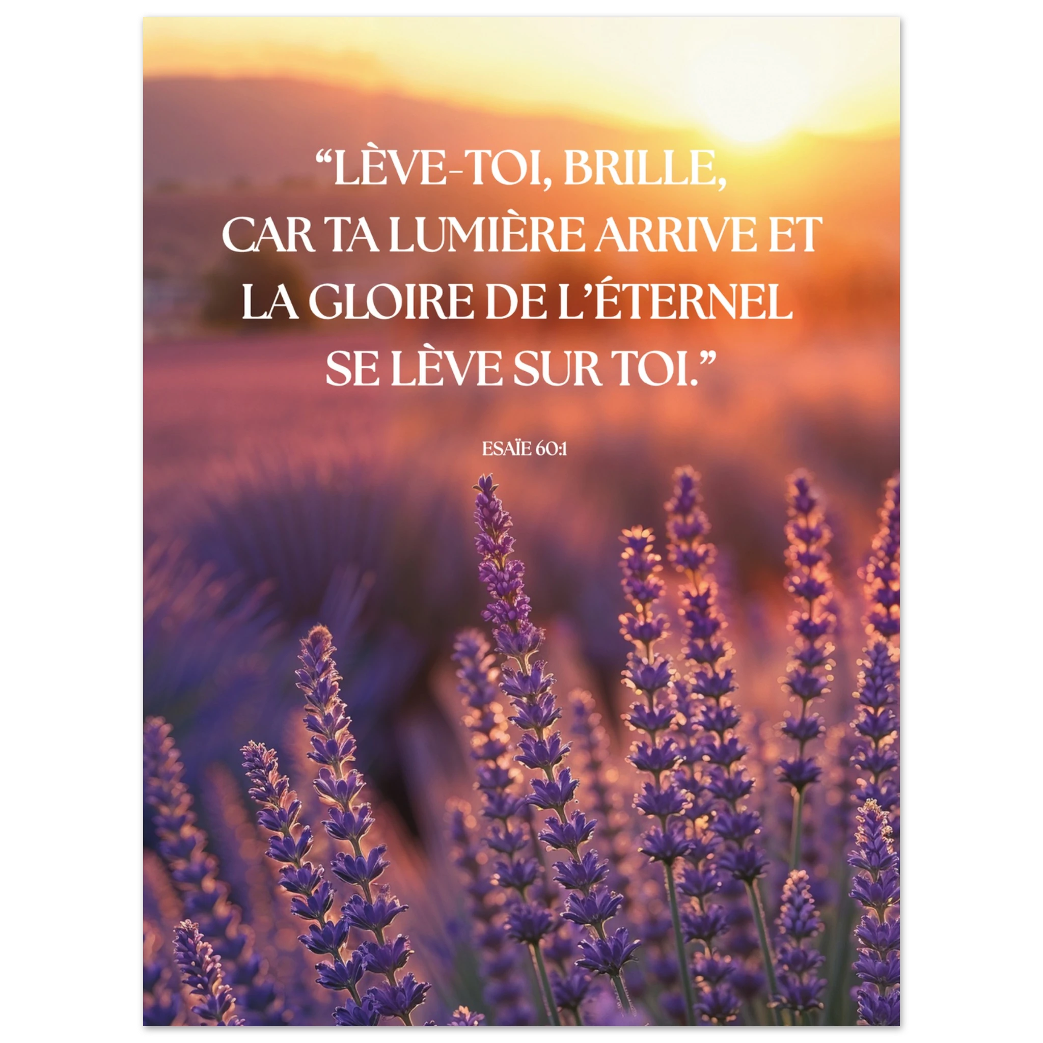 521a6af7-d740-45dc-9ceb-9a14c9013c50