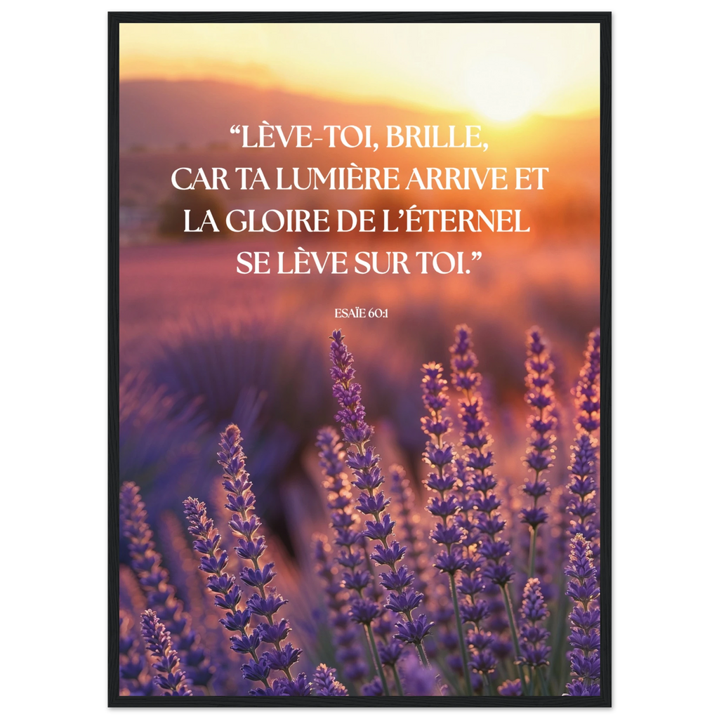 56ee1d89-b1f1-44eb-9e75-89012b990f39
