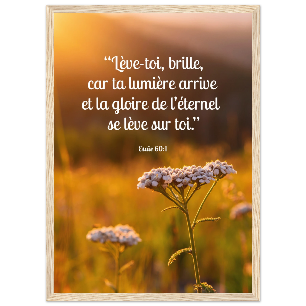 6cf0f3a1-1870-4a7d-8bb5-41cb3a4b9e60