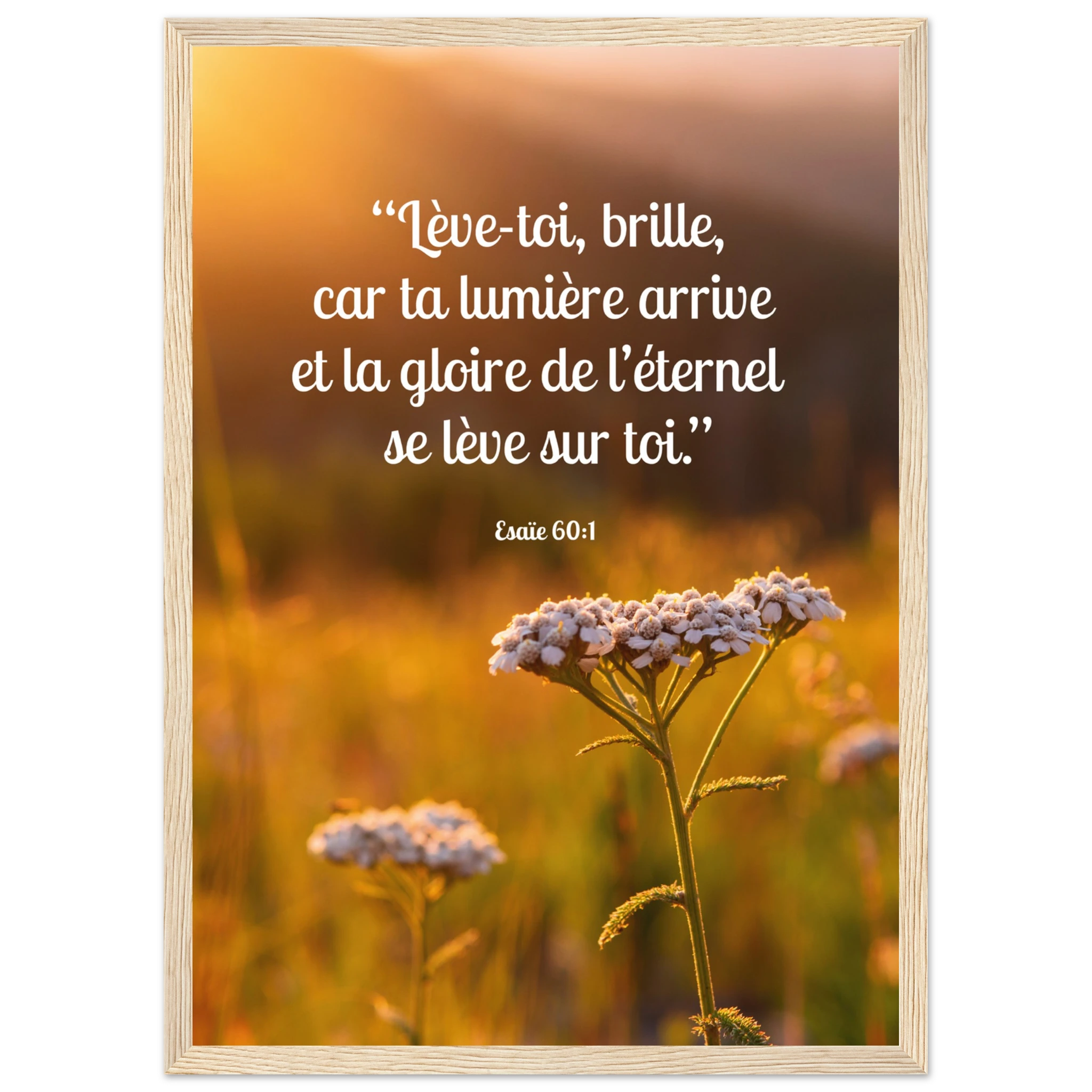 6cf0f3a1-1870-4a7d-8bb5-41cb3a4b9e60