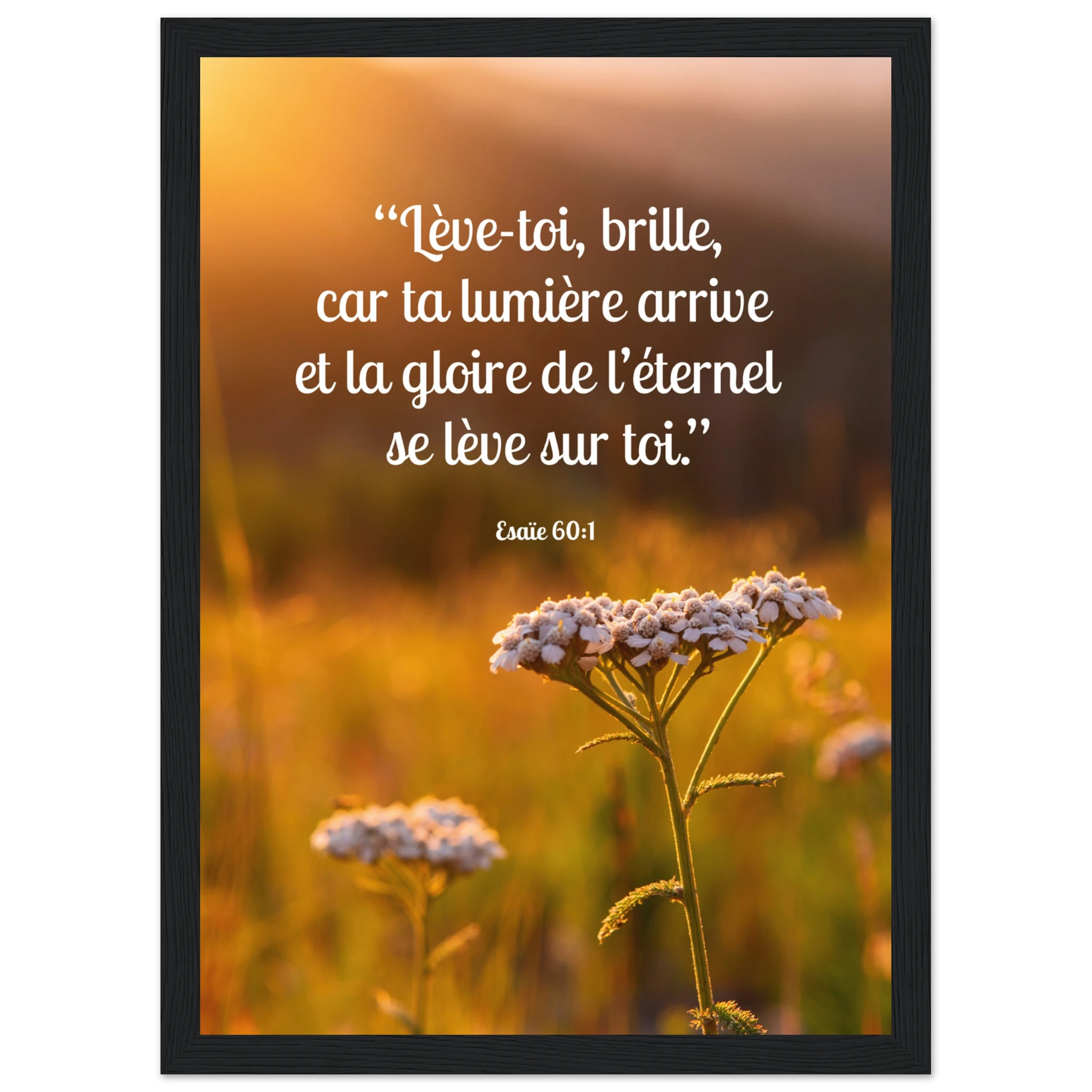 6d73c099-259a-4522-903e-b3493bb9fa8d