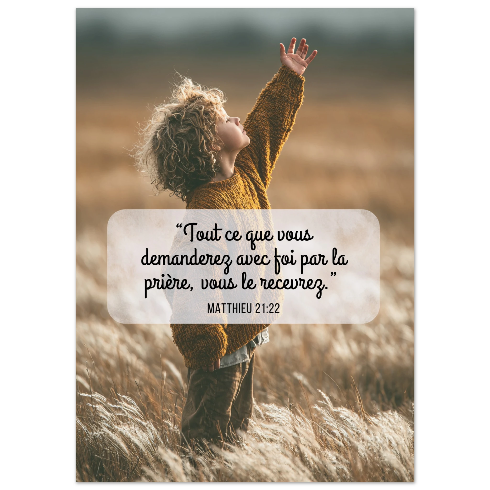 700ff411-8507-436a-b52a-4aaceb8c8af5