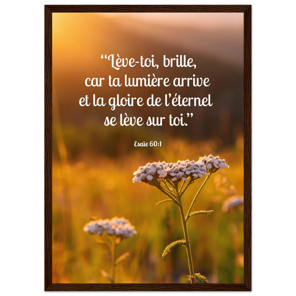 7053808d-4e92-4422-83fe-d41b7b5018ad