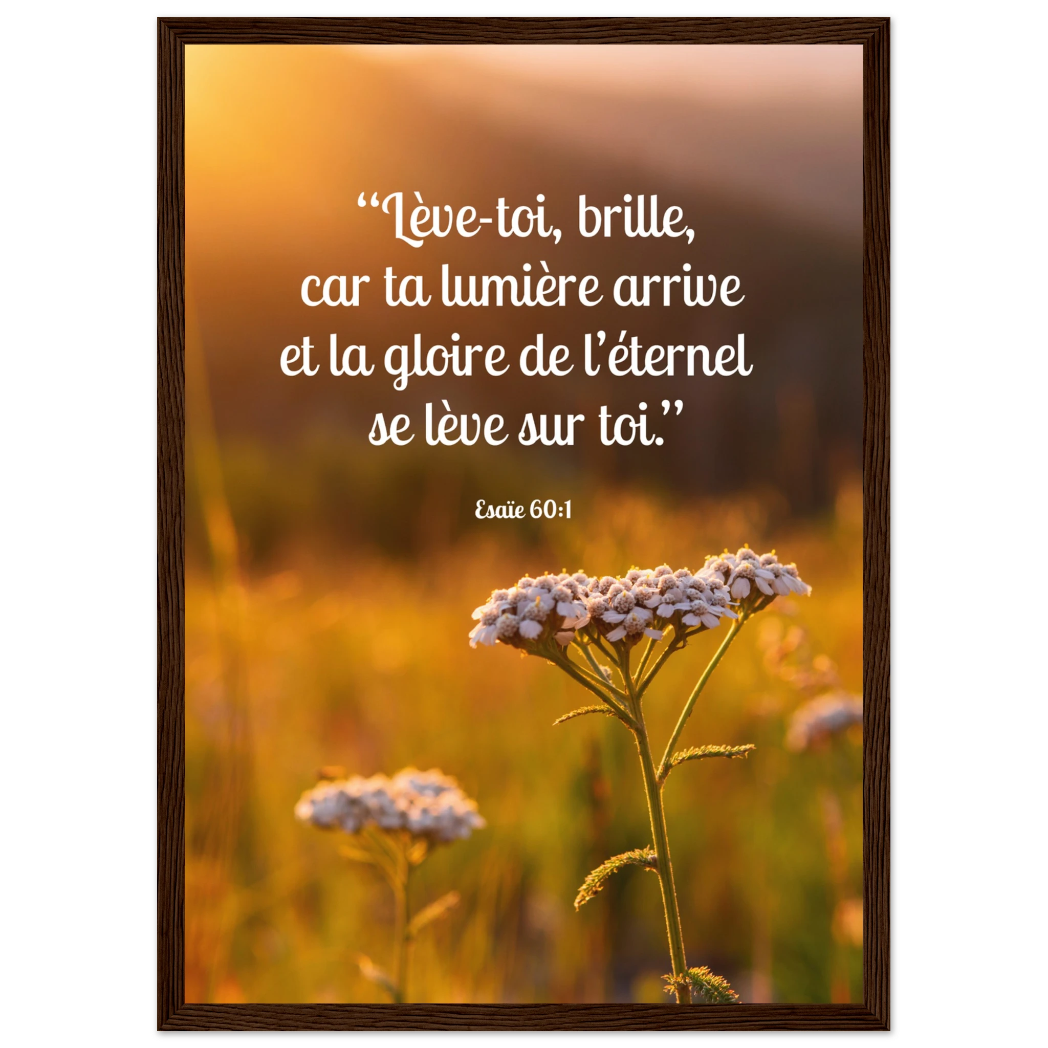 7053808d-4e92-4422-83fe-d41b7b5018ad