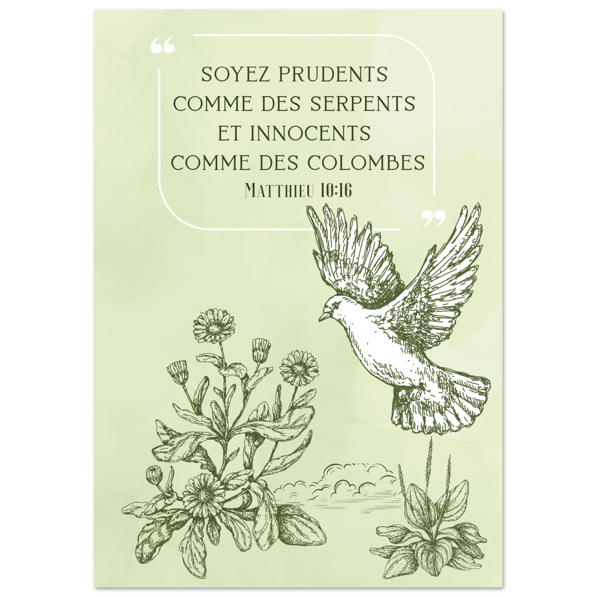 86886fbe-efcc-4696-8869-11485f53d6b0