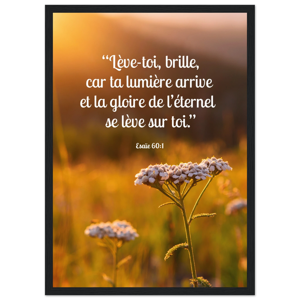 b48e7ece-c277-4c3e-965f-b309f0c938f7