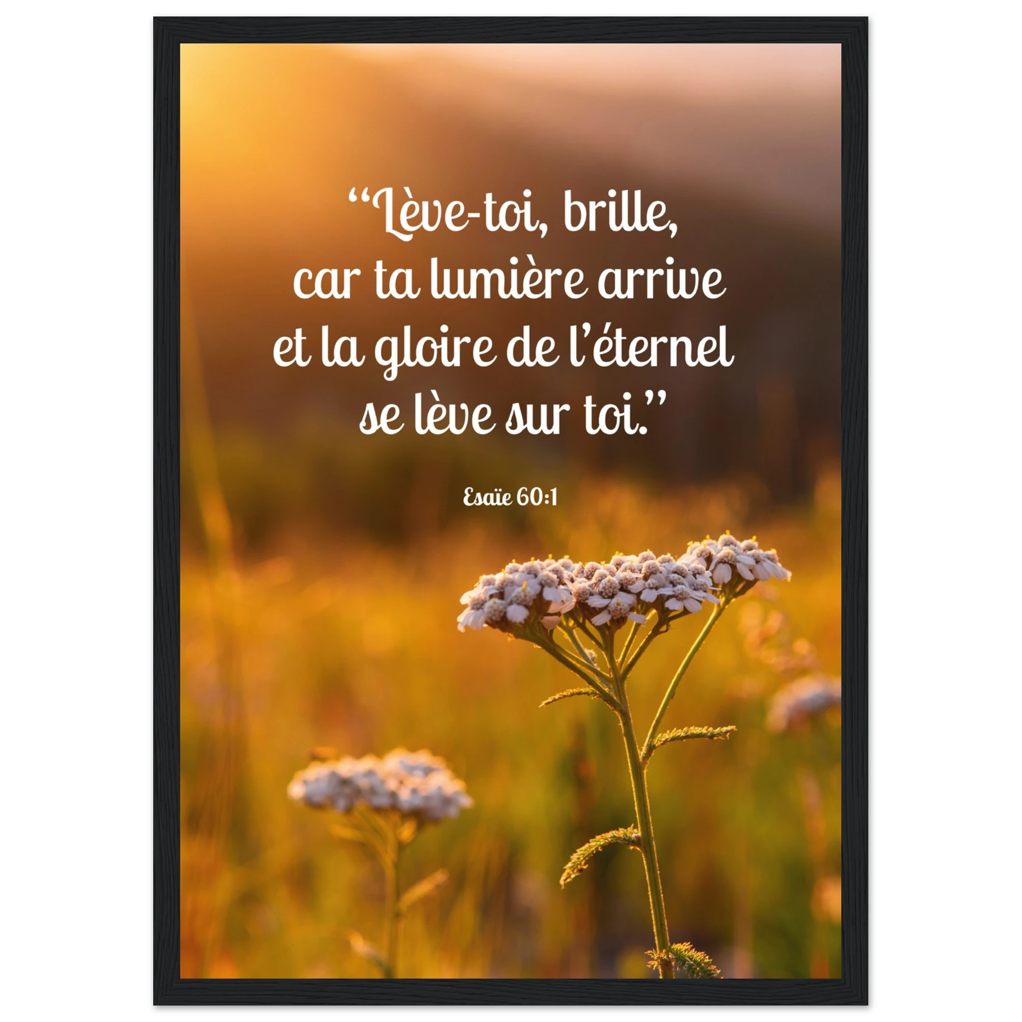 b48e7ece-c277-4c3e-965f-b309f0c938f7