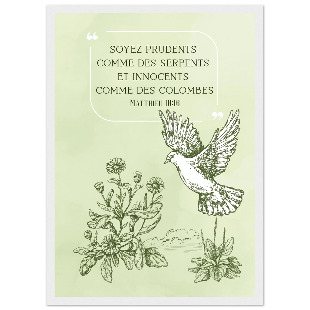 c8d92fa2-5cad-4a89-a6d3-124d4a82c755