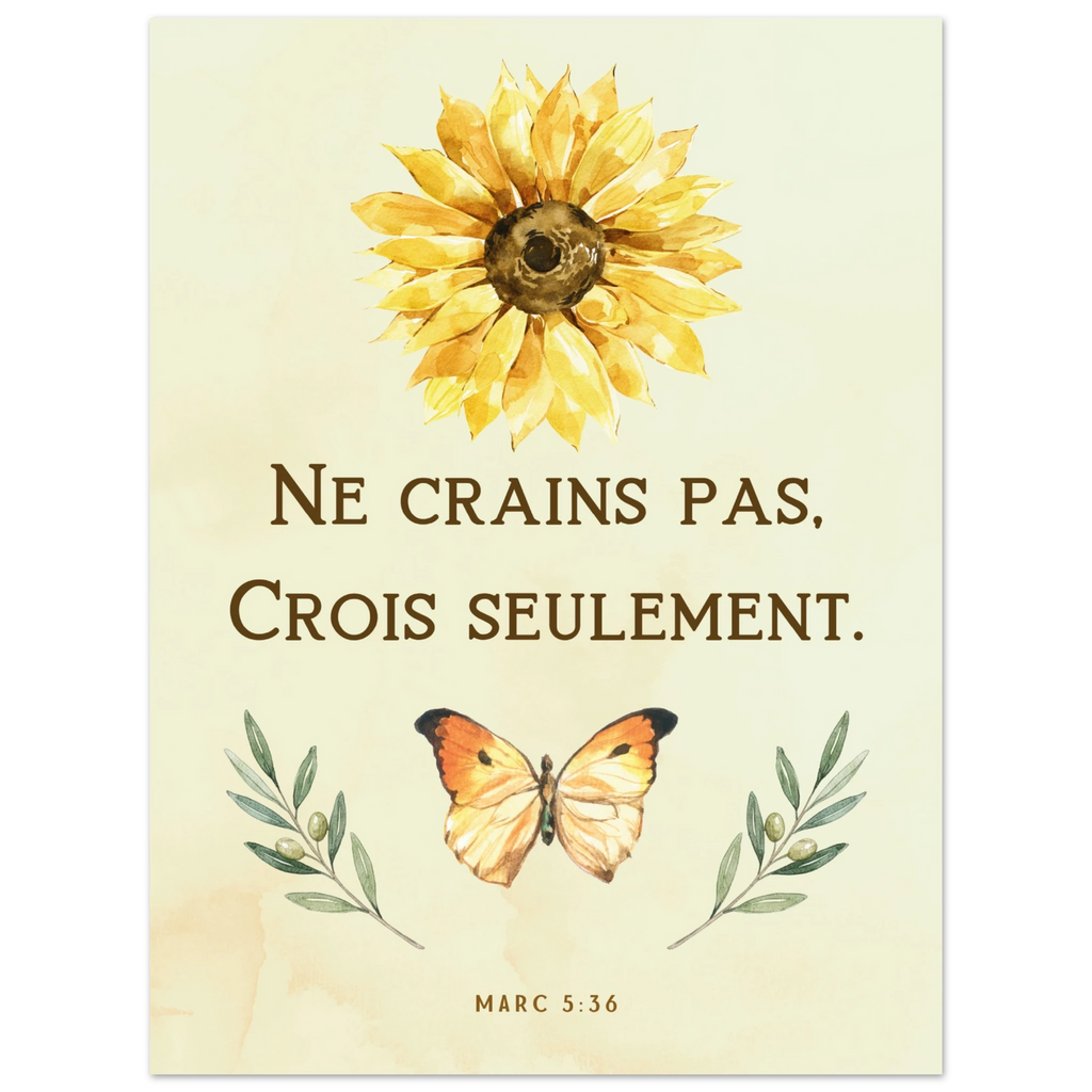 e278af5e-d20b-415b-ab8f-60aed10bf592