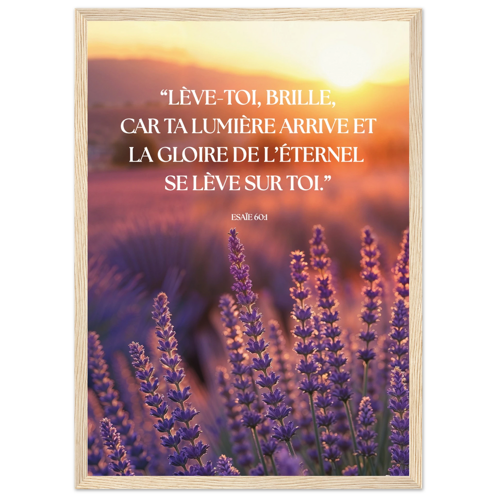 e534ede1-9906-4074-80f9-9e5cd87eb886