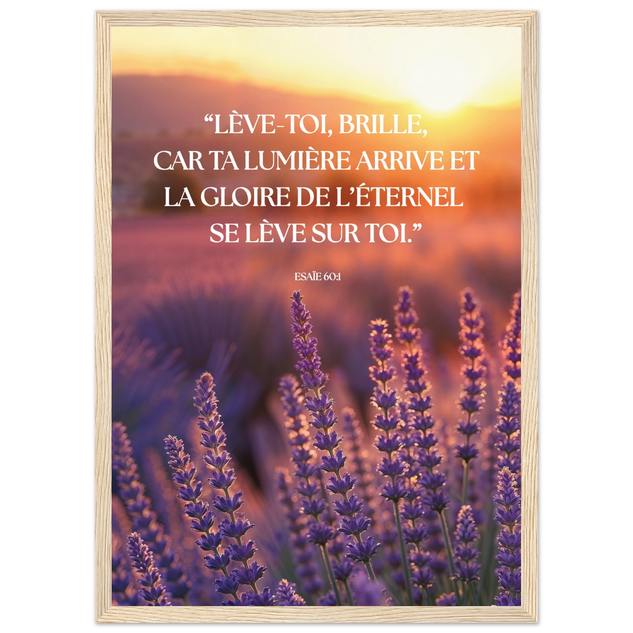 e534ede1-9906-4074-80f9-9e5cd87eb886