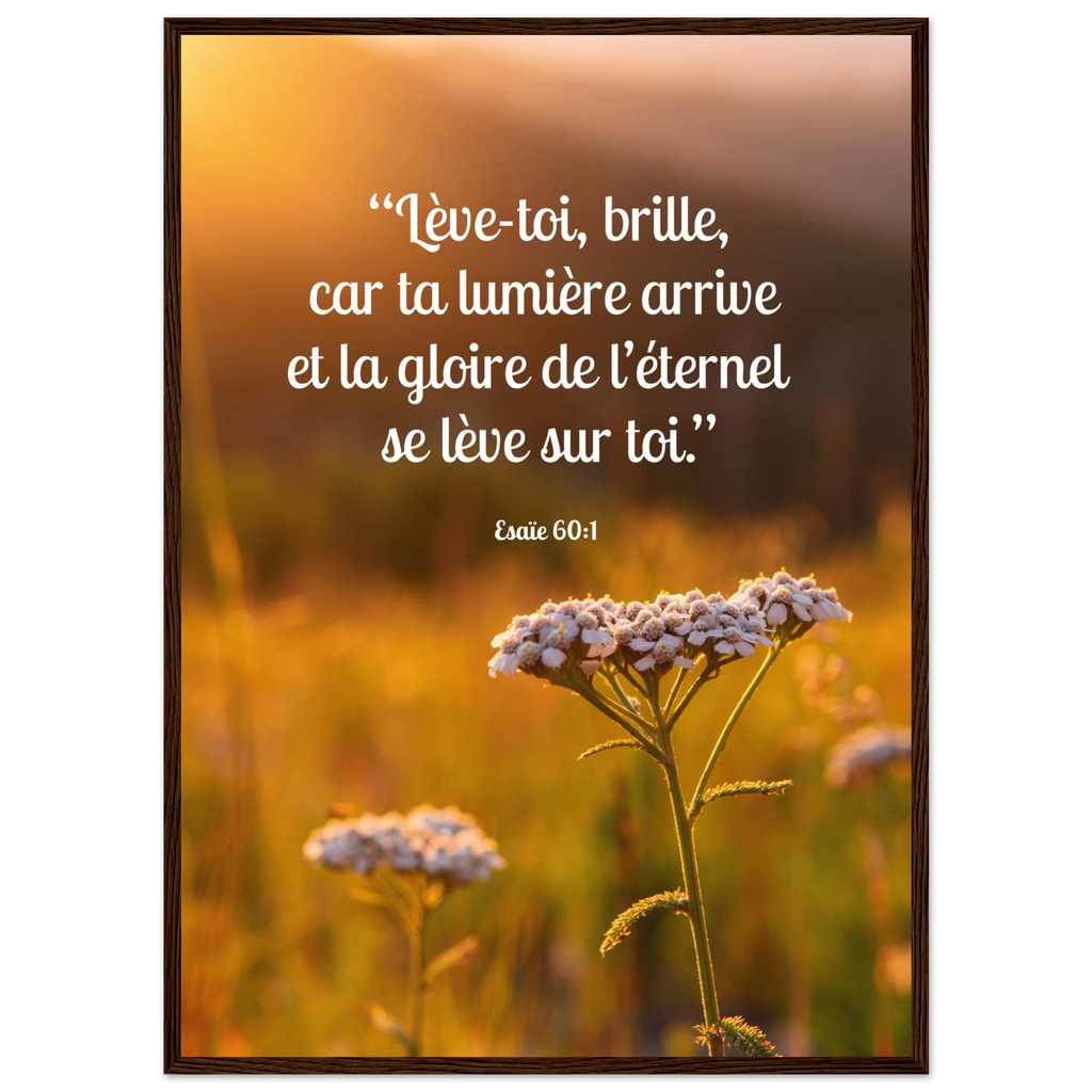 f08c8d35-c908-48fe-9a6d-256c79c79fcc