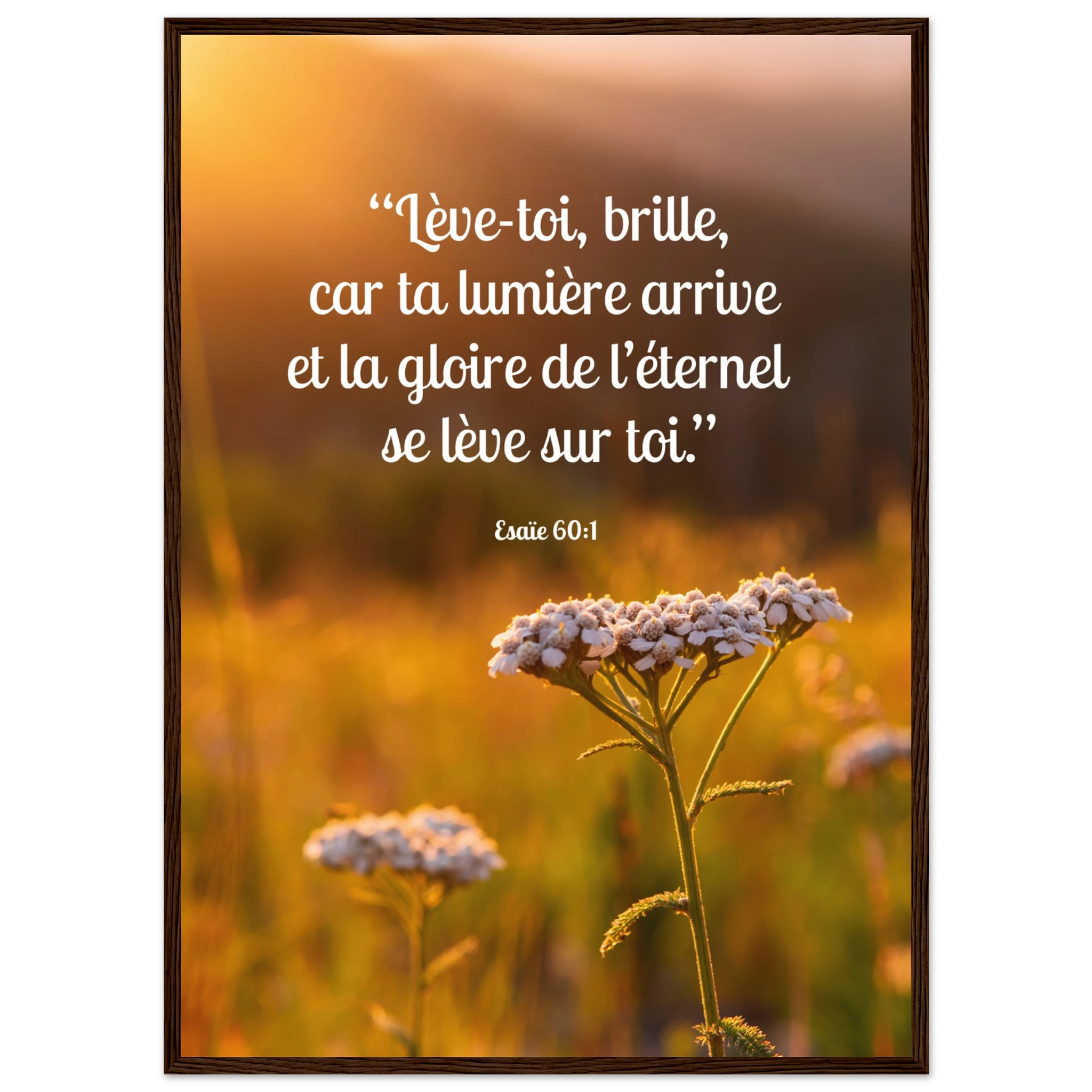 f08c8d35-c908-48fe-9a6d-256c79c79fcc